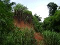 Agulu_Erosion Gully_pics 028